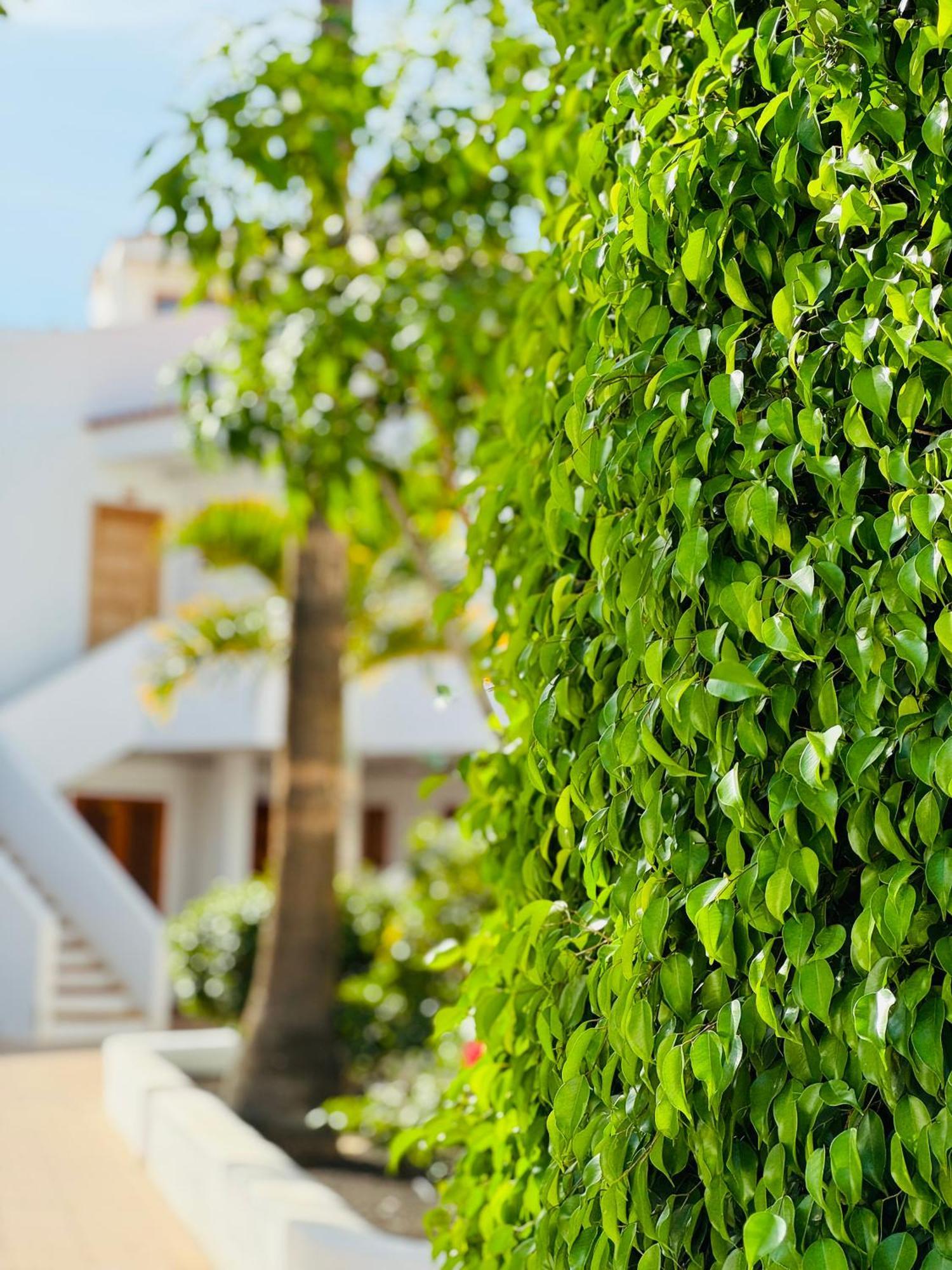 Garden City Private Apartment Costa Adeje Playa Feñabe Extérieur photo